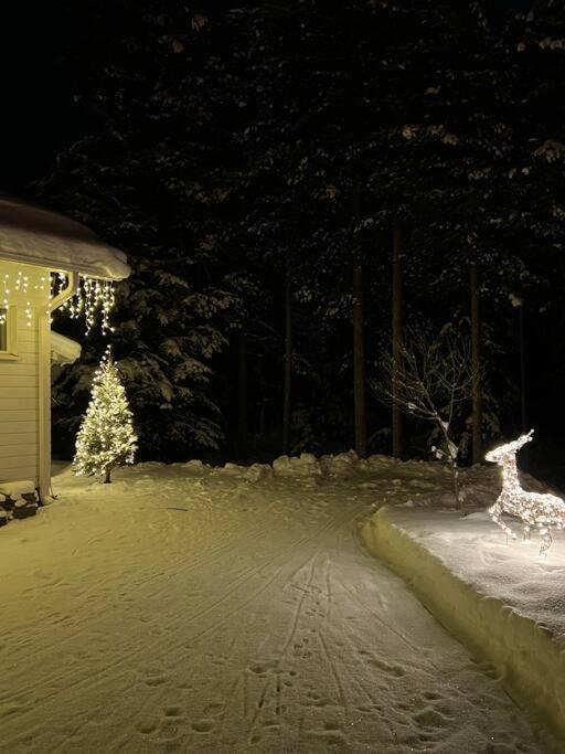 Arctic Circle Guesthouse Rovaniemi Luaran gambar